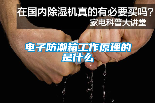 国产精品三级在线观看 电子防潮箱工作原理的是什么