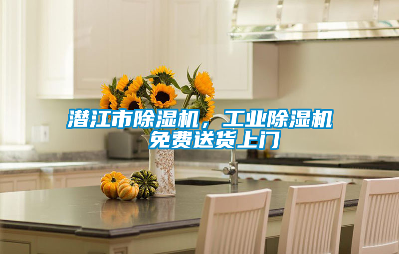 国产精品欧美激情视频 潜江市除湿机，工业除湿机  免费送货上门