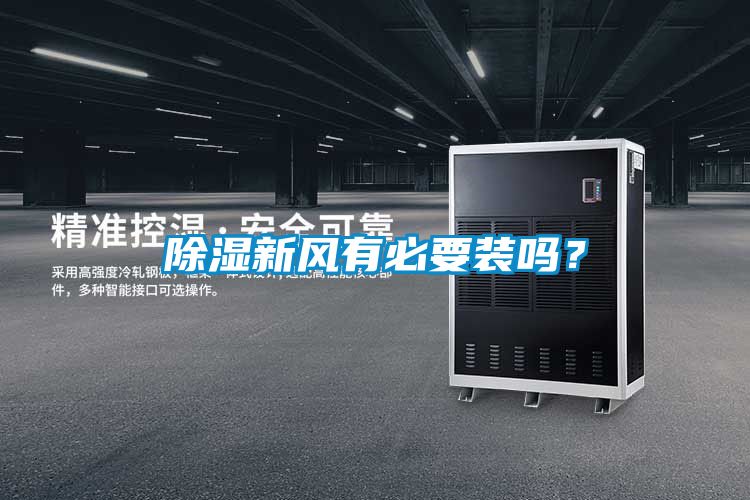 国产精品三级在线观看 除湿新风有必要装吗？