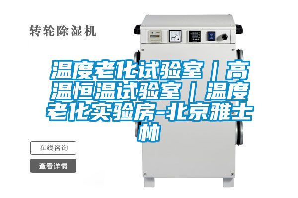 国产精品三级在线观看 温度老化试验室｜高温恒温试验室｜温度老化实验房-北京雅士林