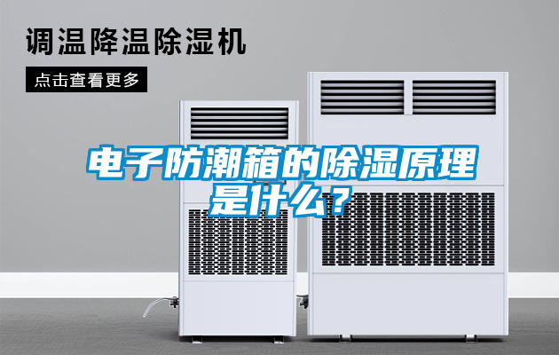 国产精品探花在线观看 电子防潮箱的除湿原理是什么？