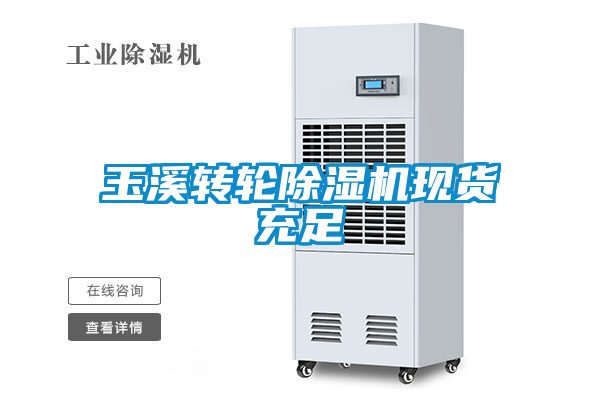 国产精品三级在线观看 玉溪转轮除湿机现货充足