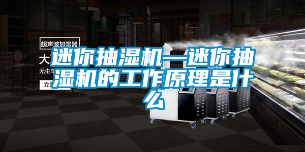 国产精品欧美激情视频 迷你抽湿机—迷你抽湿机的工作原理是什么