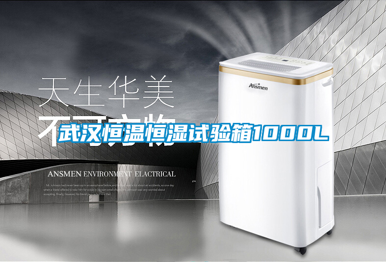 国产精品三级在线观看 武汉恒温恒湿试验箱1000L