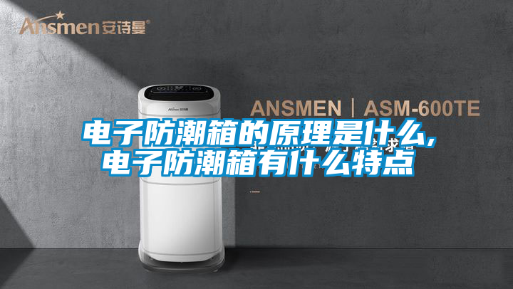国产精品欧美激情视频 电子防潮箱的原理是什么,电子防潮箱有什么特点