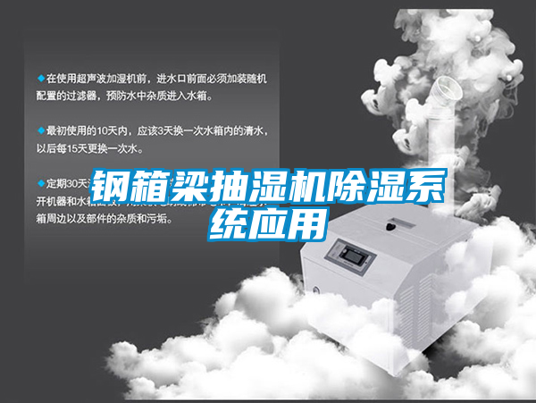 国产精品探花在线观看 钢箱梁抽湿机除湿系统应用