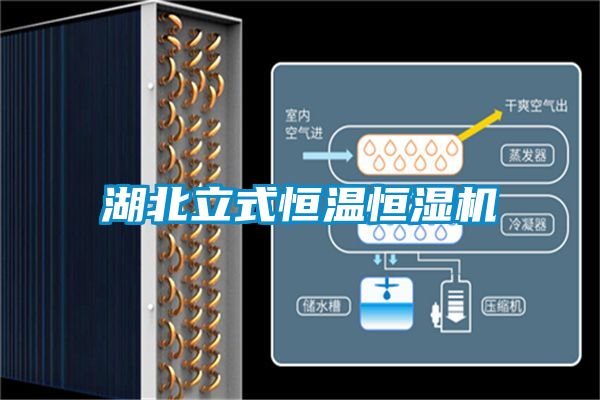 国产精品三级在线观看 湖北立式恒温恒湿机