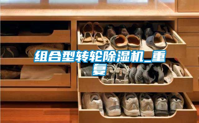 国产精品欧美激情视频 组合型转轮除湿机_重复