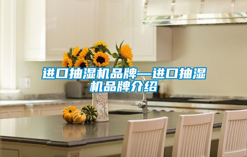 国产精品欧美激情视频 进口抽湿机品牌—进口抽湿机品牌介绍