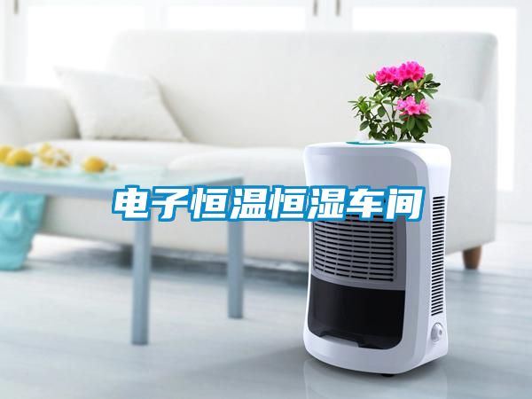 国产精品三级在线观看 电子恒温恒湿车间