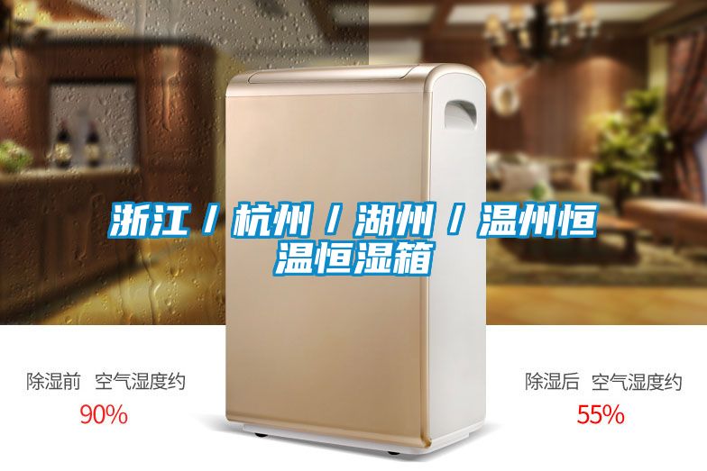 国产精品三级在线观看 浙江／杭州／湖州／温州恒温恒湿箱