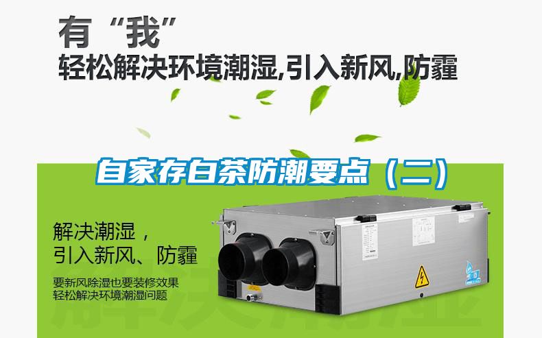 国产精品欧美激情视频 自家存白茶防潮要点（二）