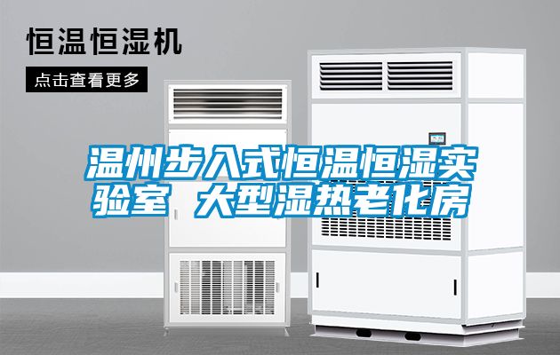 国产精品三级在线观看 温州步入式恒温恒湿实验室 大型湿热老化房