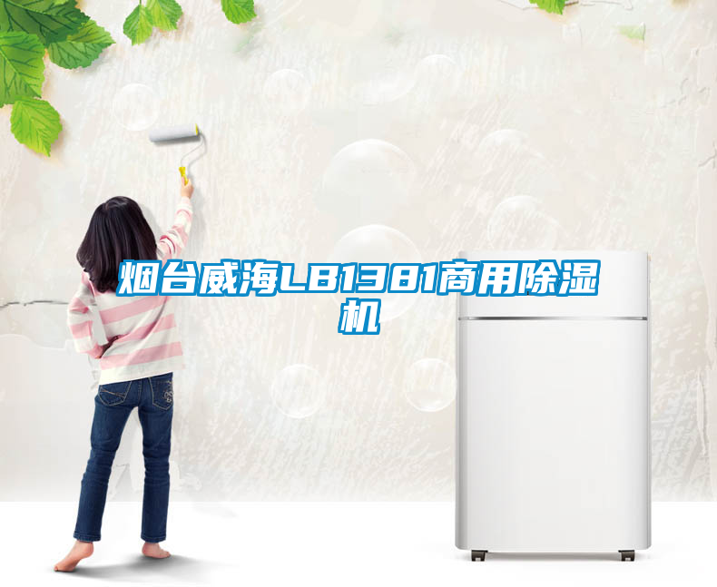 国产精品三级在线观看 烟台威海LB1381商用除湿机