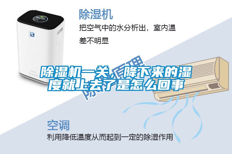国产精品欧美激情视频 除湿机一关，降下来的湿度就上去了是怎么回事