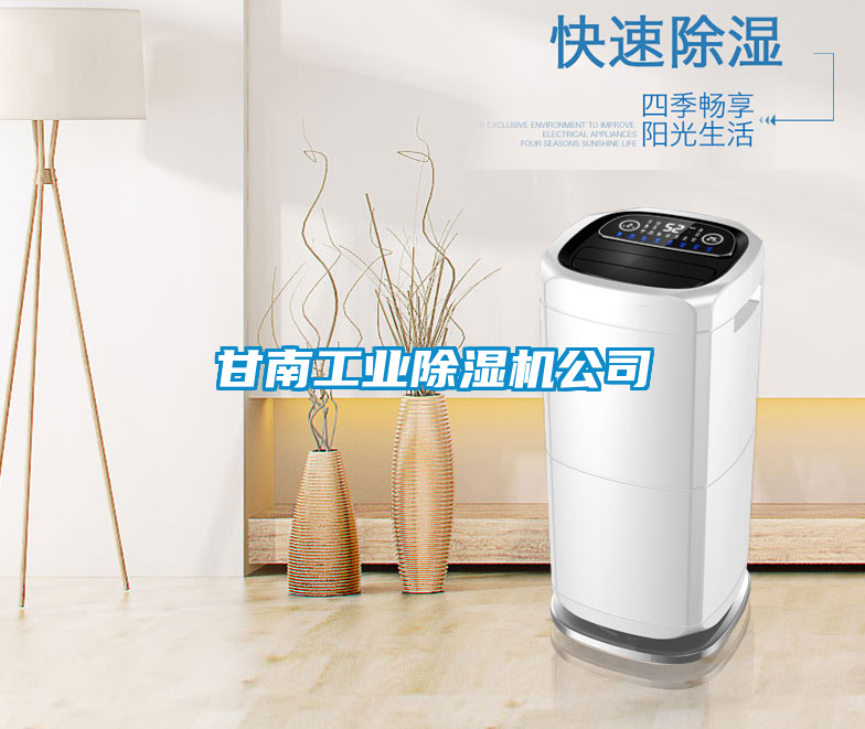 国产精品欧美激情视频 甘南工业除湿机公司