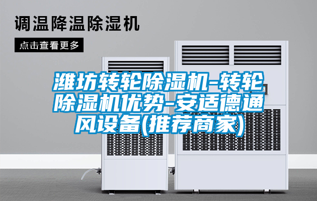 国产精品三级在线观看 潍坊转轮除湿机-转轮除湿机优势-安适德通风设备(推荐商家)