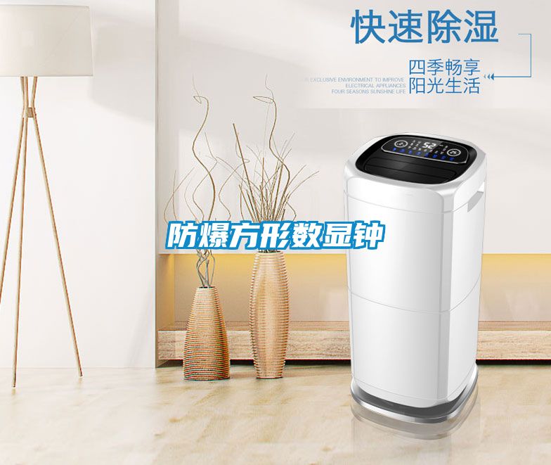 国产精品三级在线观看 防爆方形数显钟