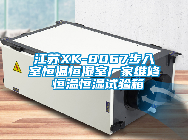 国产精品欧美激情视频 江苏XK-8067步入室恒温恒湿室厂家维修 恒温恒湿试验箱