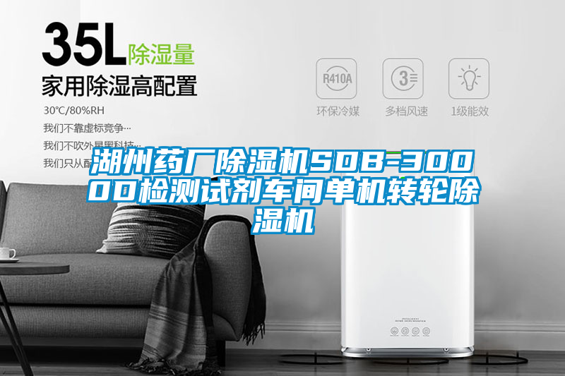 国产精品探花在线观看 湖州药厂除湿机SDB-3000D检测试剂车间单机转轮除湿机