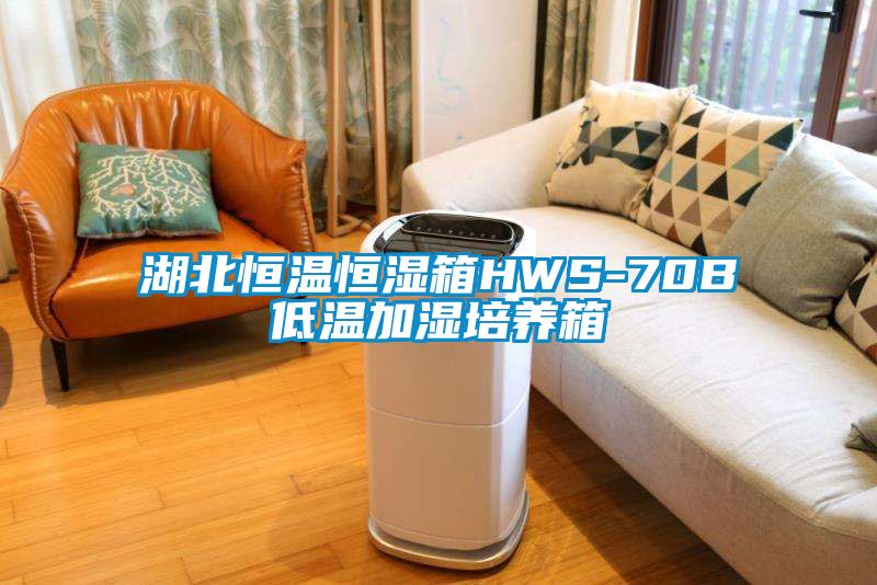 国产精品欧美激情视频 湖北恒温恒湿箱HWS-70B低温加湿培养箱