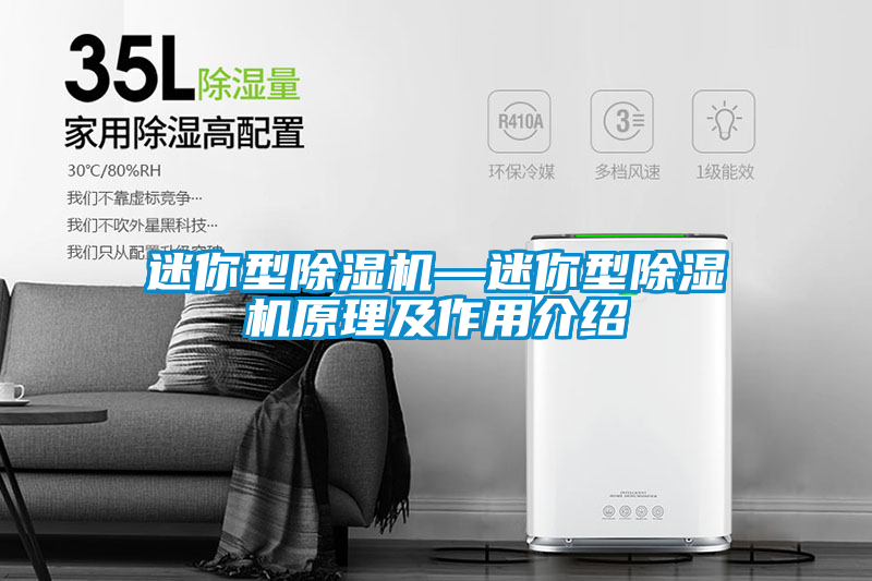 国产精品三级在线观看 迷你型除湿机—迷你型除湿机原理及作用介绍