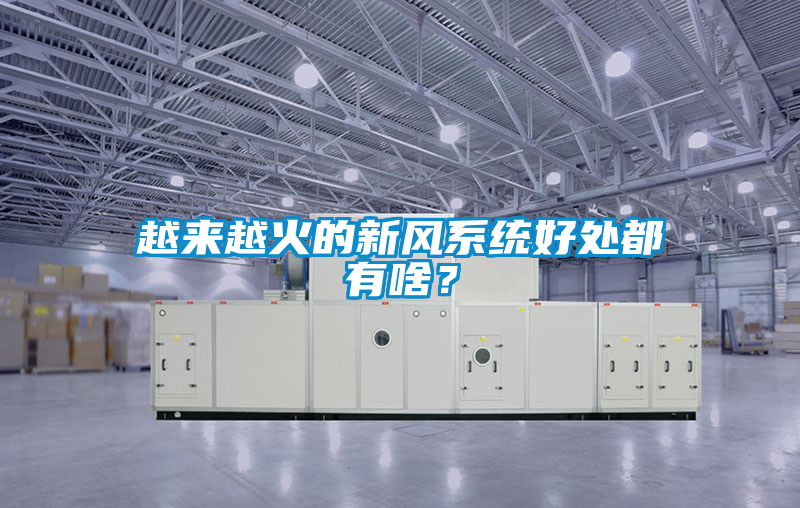 国产精品三级在线观看 越来越火的新风系统好处都有啥？