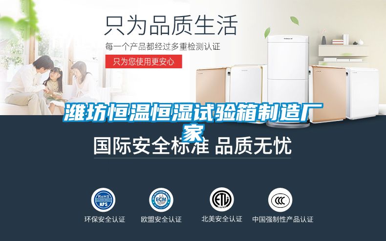 国产精品探花在线观看 潍坊恒温恒湿试验箱制造厂家