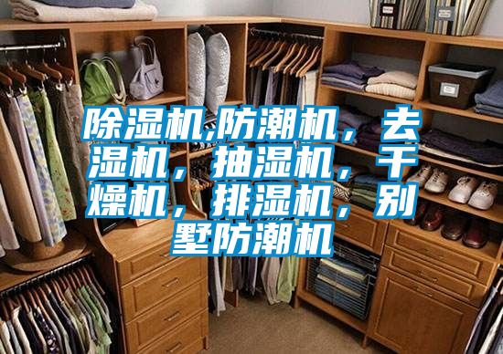 国产精品欧美激情视频 除湿机,防潮机，去湿机，抽湿机，干燥机，排湿机，别墅防潮机
