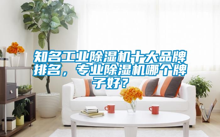 国产精品欧美激情视频 知名工业除湿机十大品牌排名，专业除湿机哪个牌子好？