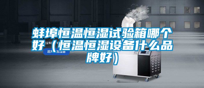 国产精品三级在线观看 蚌埠恒温恒湿试验箱哪个好（恒温恒湿设备什么品牌好）