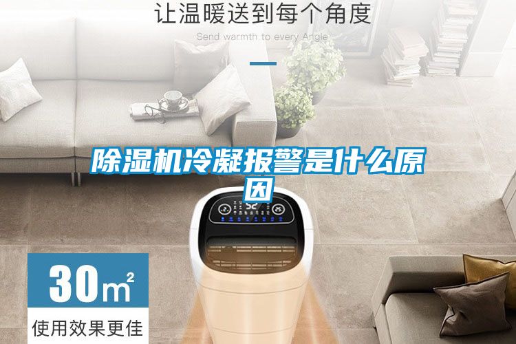 国产精品探花在线观看 除湿机冷凝报警是什么原因