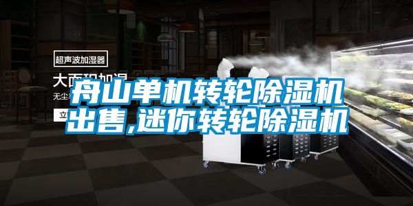 国产精品三级在线观看 舟山单机转轮除湿机出售,迷你转轮除湿机