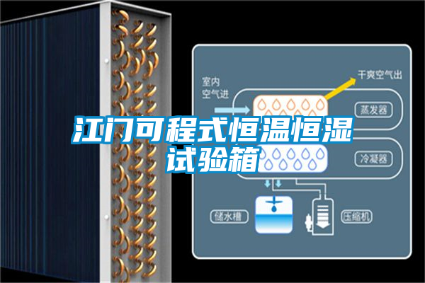 国产精品探花在线观看 江门可程式恒温恒湿试验箱