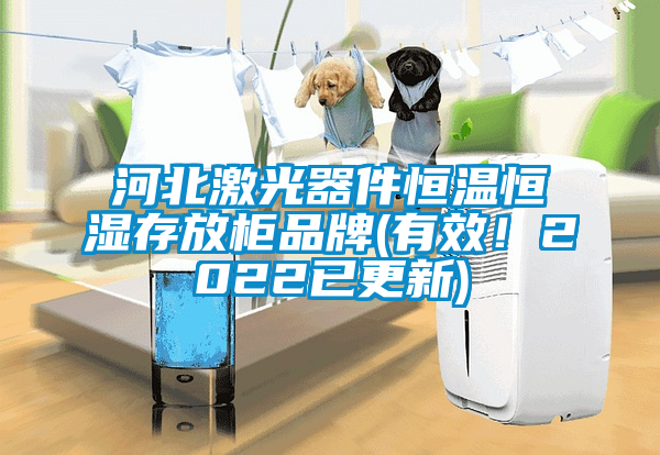 国产精品探花在线观看 河北激光器件恒温恒湿存放柜品牌(有效！2022已更新)