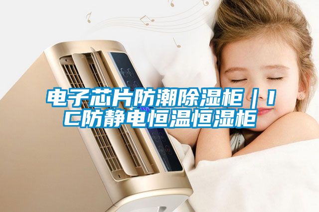 国产精品三级在线观看 电子芯片防潮除湿柜｜IC防静电恒温恒湿柜
