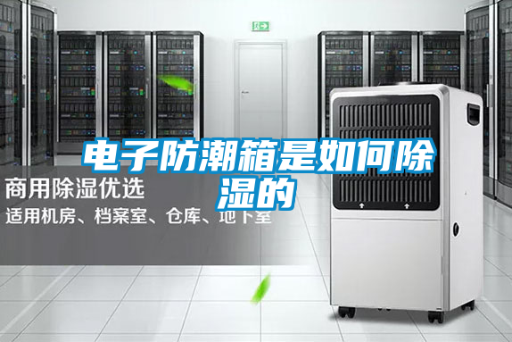 国产精品三级在线观看 电子防潮箱是如何除湿的