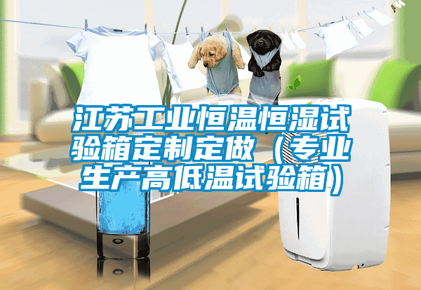 国产精品探花在线观看 江苏工业恒温恒湿试验箱定制定做（专业生产高低温试验箱）