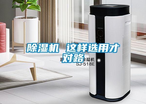 国产精品三级在线观看 除湿机 这样选用才对路