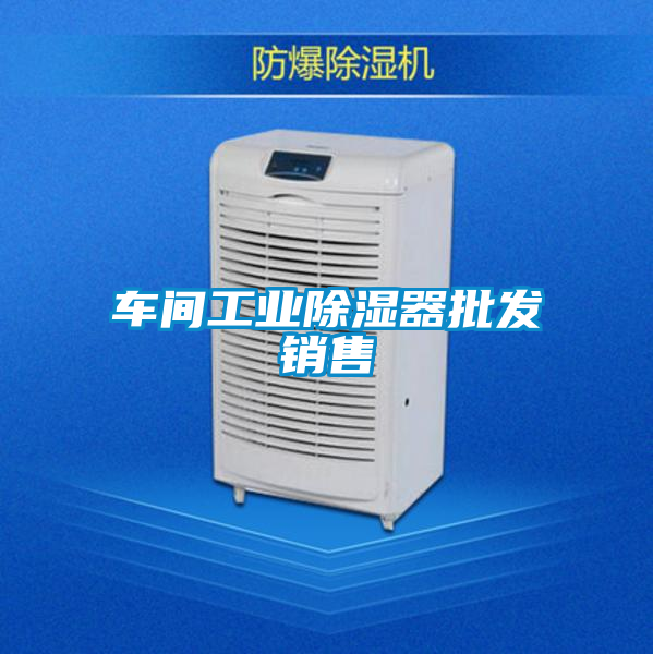 国产精品探花在线观看 车间工业除湿器批发销售