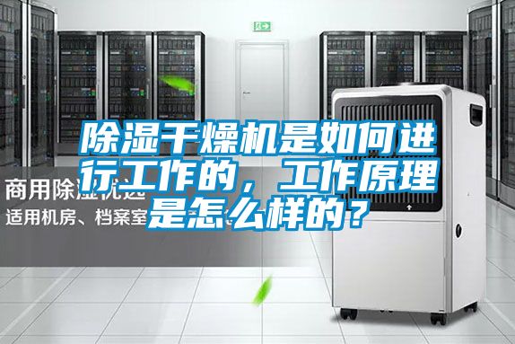 国产精品探花在线观看 除湿干燥机是如何进行工作的，工作原理是怎么样的？