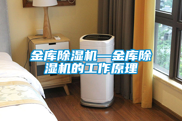国产精品探花在线观看 金库除湿机—金库除湿机的工作原理