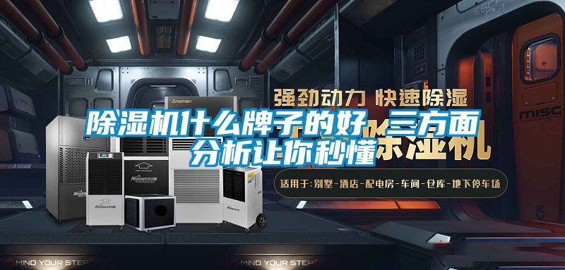 国产精品欧美激情视频 除湿机什么牌子的好 三方面分析让你秒懂