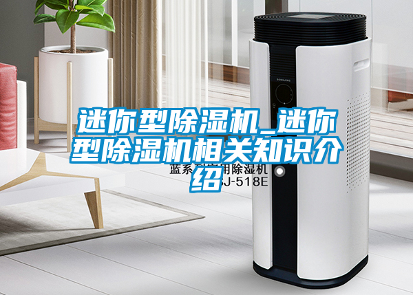 国产精品三级在线观看 迷你型除湿机_迷你型除湿机相关知识介绍