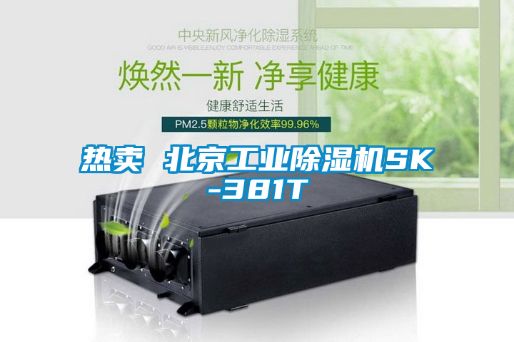 国产精品欧美激情视频 热卖 北京工业除湿机SK-381T