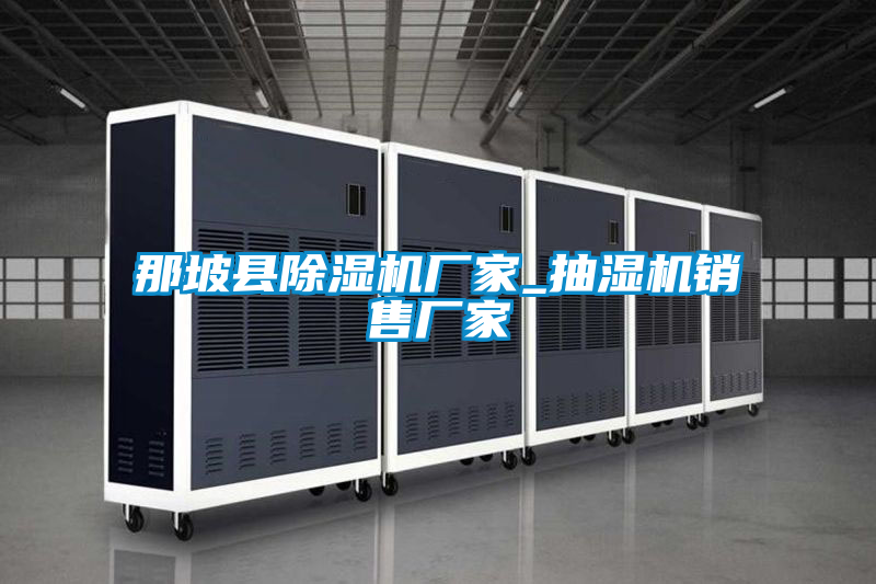 国产精品三级在线观看 那坡县除湿机厂家_抽湿机销售厂家