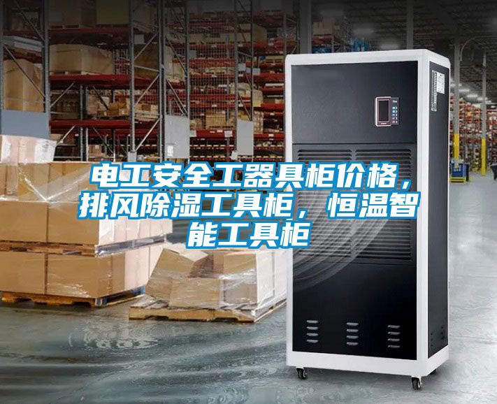 国产精品三级在线观看 电工安全工器具柜价格，排风除湿工具柜，恒温智能工具柜