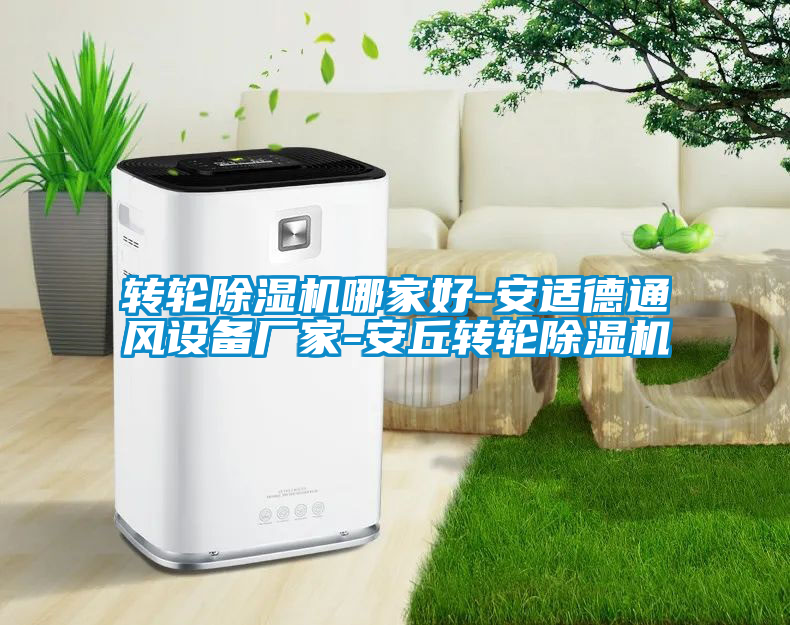 国产精品探花在线观看 转轮除湿机哪家好-安适德通风设备厂家-安丘转轮除湿机