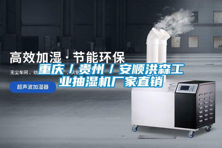 国产精品欧美激情视频 重庆／贵州／安顺洪森工业抽湿机厂家直销