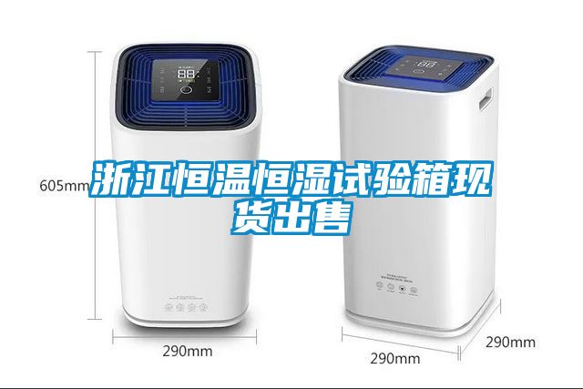国产精品三级在线观看 浙江恒温恒湿试验箱现货出售